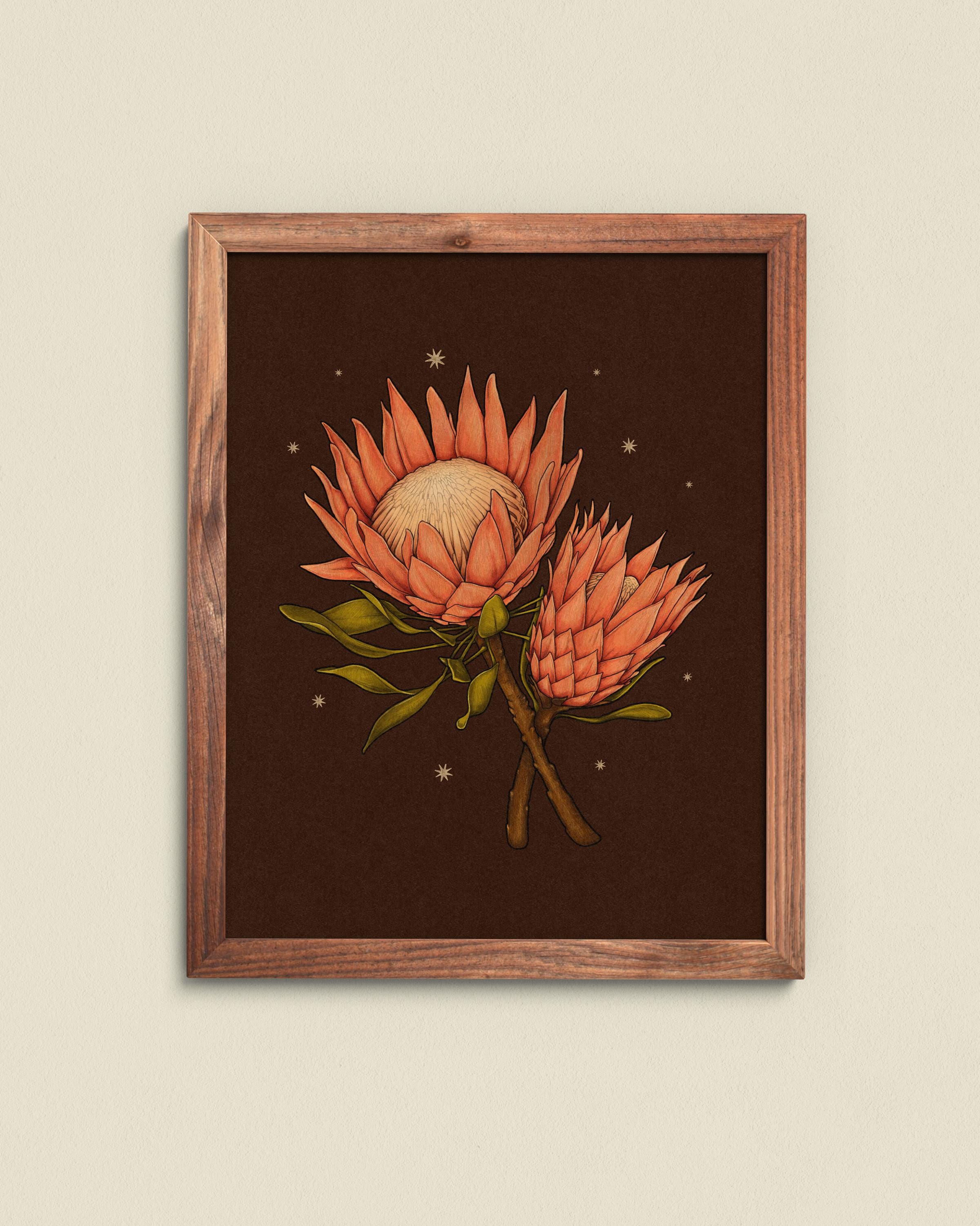 絵画 額縁付 プロテア protea 2096563849.jpg