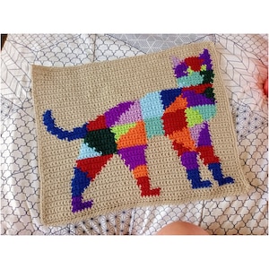 May include: A crocheted cat blanket with a geometric pattern in shades of red, orange, yellow, green, blue, purple, and pink.