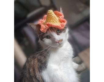 Può includere: Un gatto bianco e tigrato con un cappello all'uncinetto con accenti gialli e rosa. Il cappello ha la forma di un cono con un bordo arricciato.