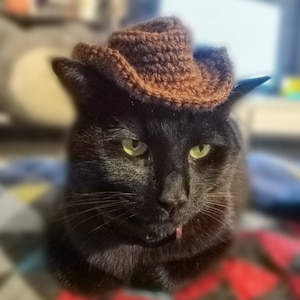 May include: A black cat wearing a brown crocheted cowboy hat. The cat is looking at the camera with a serious expression.