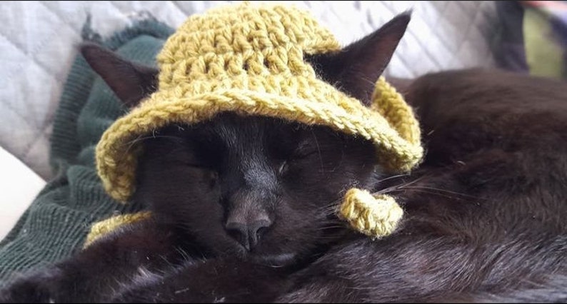 May include: A black cat wearing a yellow crocheted hat. The cat is sleeping with its eyes closed.