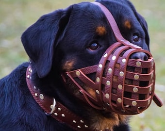 custom made dog muzzles