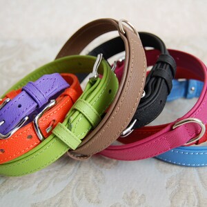 May include: A set of six leather dog collars in various colors, including orange, green, purple, brown, pink, and blue. Each collar has a silver buckle and a stitched edge.