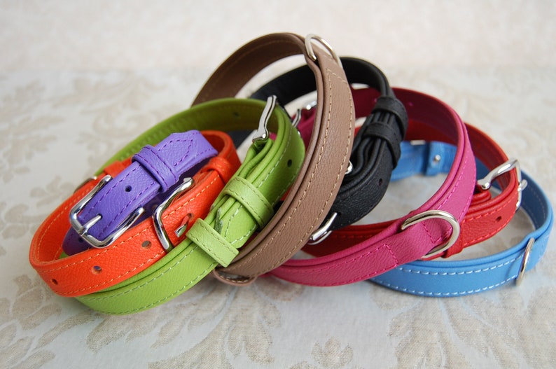May include: A set of six leather dog collars in various colors, including orange, green, purple, brown, pink, and blue. Each collar has a silver buckle and a stitched edge.