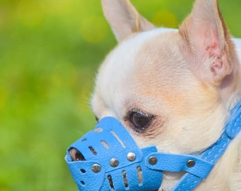 Bozal de cuero suave para perros: Raza pequeña, diseño colorido