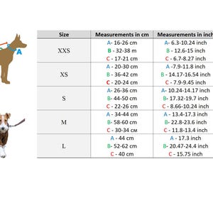 Puede incluir: Tabla de tallas de arn&eacute;s para perros con medidas en cent&iacute;metros y pulgadas. Incluye tallas XXS a L, con medidas correspondientes para A, B y C. Se muestra un perro con un arn&eacute;s marr&oacute;n, junto con un perro con un su&eacute;ter marr&oacute;n.