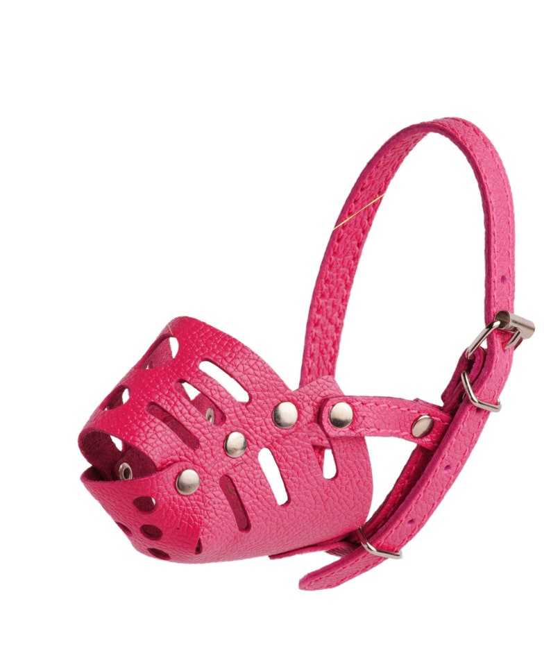 pink muzzle for barking pink muzzle for barking