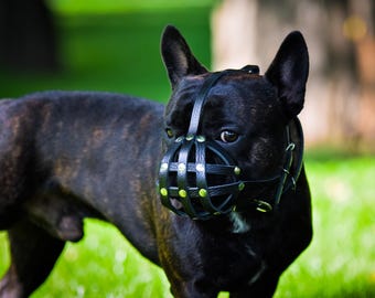 Leather Basket Muzzle for French Bulldog: Safe Walking & Training