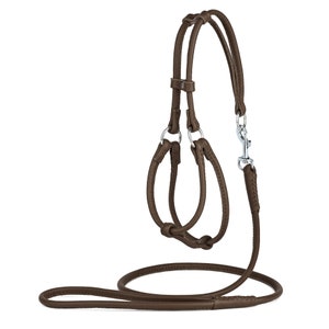 Harness Matching Loop Rolled Leather Dog Harness With Matching Leasher From Soft Calf Leather ...