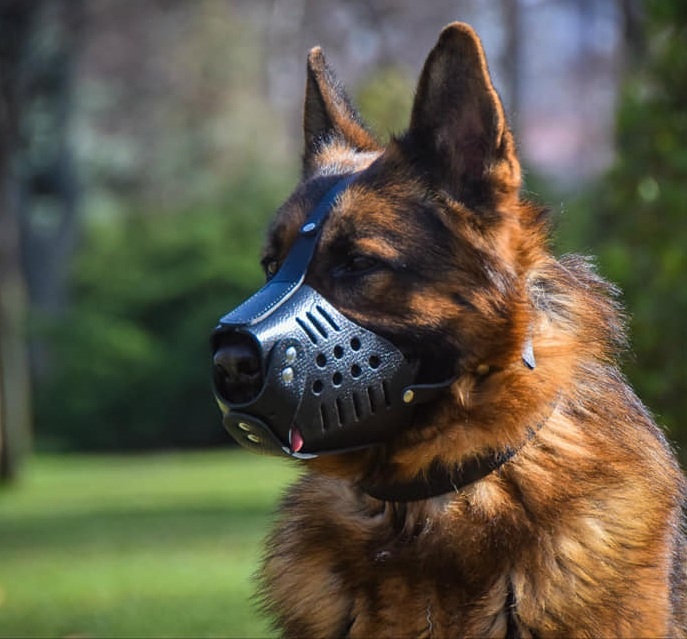 German Shepherd Muzzle Dog Muzzle Large Dog Muzzle for Large Etsy