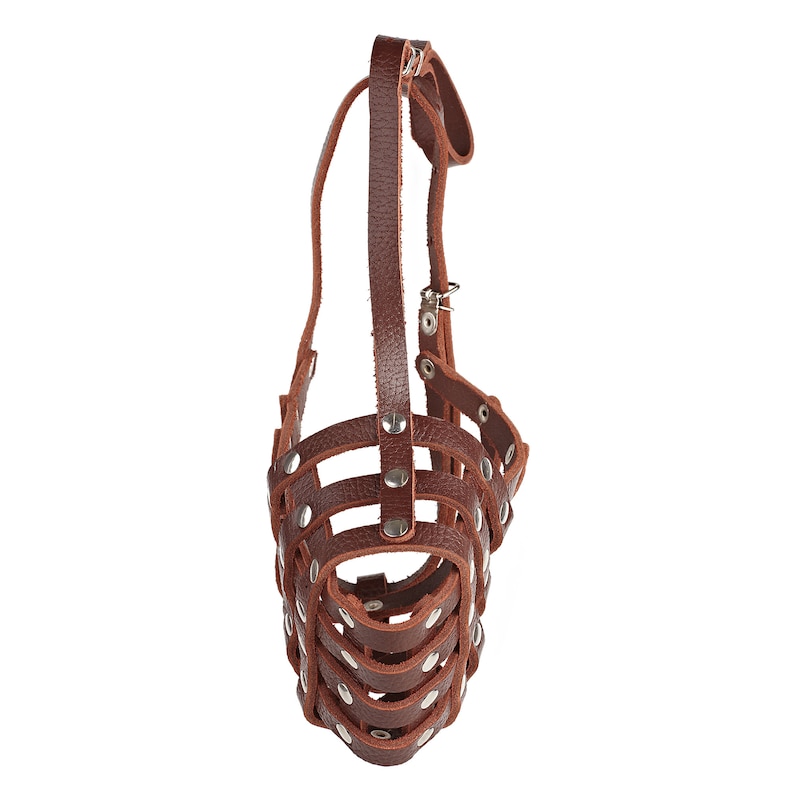 Puede incluir: Bozal de cuero marr&oacute;n para perro con dise&ntilde;o de jaula de metal y remaches plateados. El bozal tiene una correa que va alrededor del cuello del perro.