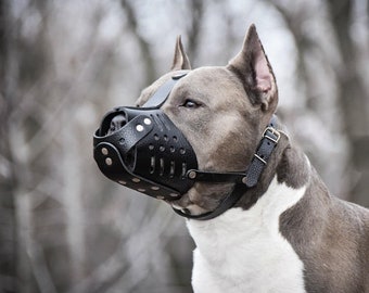 Leather Dog Muzzle Pit Bull Pitbull AmStaff Staffordshire Terrier Bull Terrier, Amstaff Dog Muzzle, American Staffordshire Terrier Muzzle