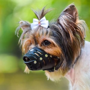 Leather Dog Muzzle, Dog Muzzle Small, Dog Muzzle Black Brown, Leather Muzzle for Small Dog, Dog Muzzle Leather, Dog Muzzle for Small Breeds