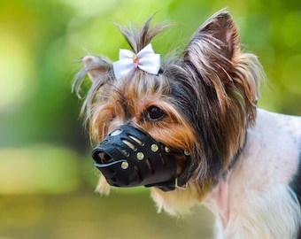 soft muzzles for small dogs