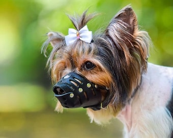 Leather Dog Muzzle, Dog Muzzle Small, Dog Muzzle Black Brown, Leather Muzzle for Small Dog, Dog Muzzle Leather, Dog Muzzle for Small Breeds