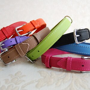 May include: A set of six leather dog collars in various colours, including red, purple, brown, green, blue, and pink. Each collar has a silver buckle and stitching.