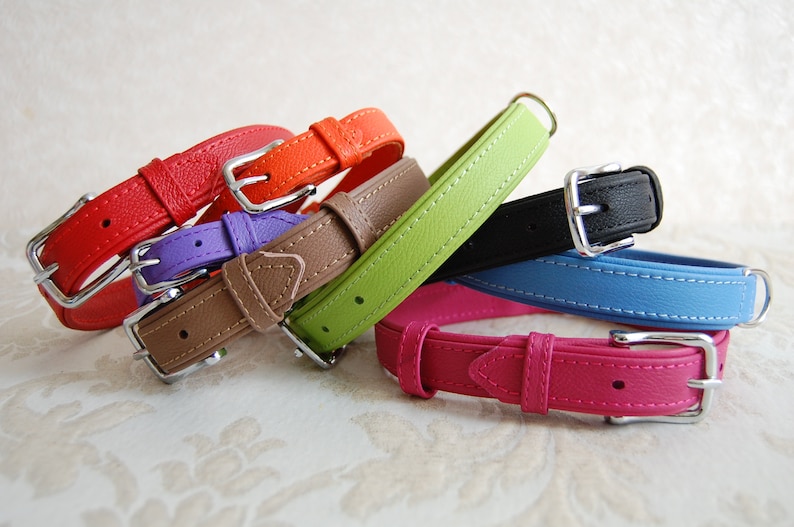 May include: A set of six leather dog collars in various colours, including red, purple, brown, green, blue, and pink. Each collar has a silver buckle and stitching.