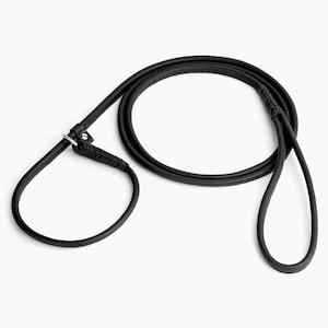 Rolled Leather Slip Lead Dog Leash: Soft Show Training Lead Black
