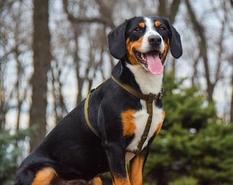 Adjustable Polycotton Dog Harness: No Pull, Large & Medium Dogs
