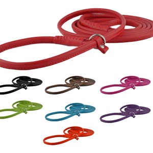 May include: A set of ten leather dog leashes in various colors, including red, black, brown, pink, green, blue, purple, and orange. Each leash is approximately 4 feet long and features a metal ring at the end.