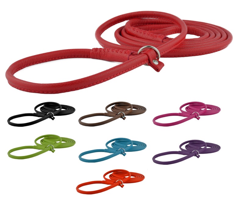 May include: A set of ten leather dog leashes in various colors, including red, black, brown, pink, green, blue, purple, and orange. Each leash is approximately 4 feet long and features a metal ring at the end.
