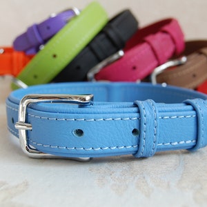 May include: A light blue leather dog collar with white stitching and a silver buckle. The collar is shown with other collars in various colours.