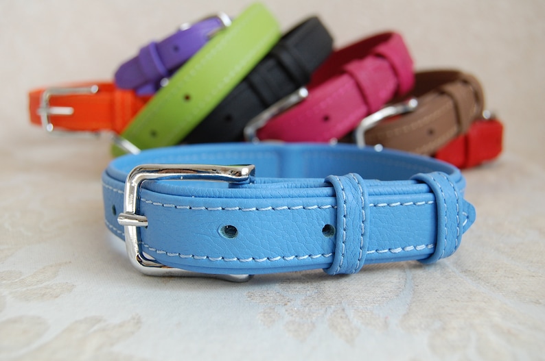 May include: A light blue leather dog collar with white stitching and a silver buckle. The collar is shown with other collars in various colours.