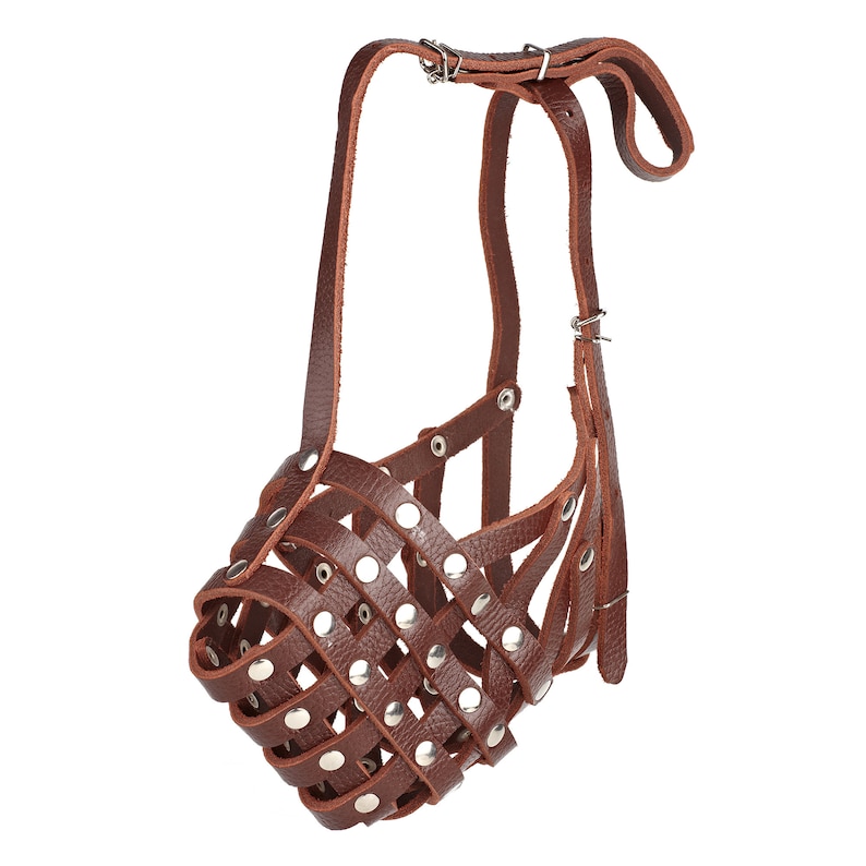 Puede incluir: Bozal de cuero marr&oacute;n para perro con remaches met&aacute;licos. El bozal tiene un dise&ntilde;o de cesta y se asegura con una correa.