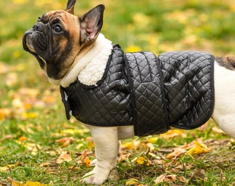 Abrigo de invierno cálido resistente al agua y al viento para perros, tallas de XXS a L, elegante chaqueta acolchada para perros, fácil y rápida de poner.