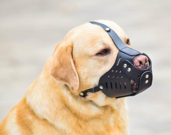 Leather Rottweiler Muzzle: Adjustable, Tear-Proof, Brown or Black