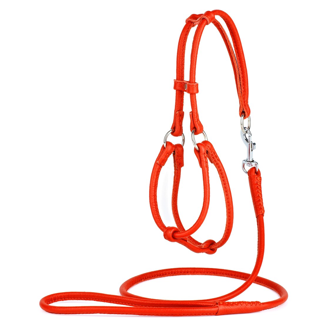 Dog Harness with Matching Leash Rolled Leather Dog Harness Etsy