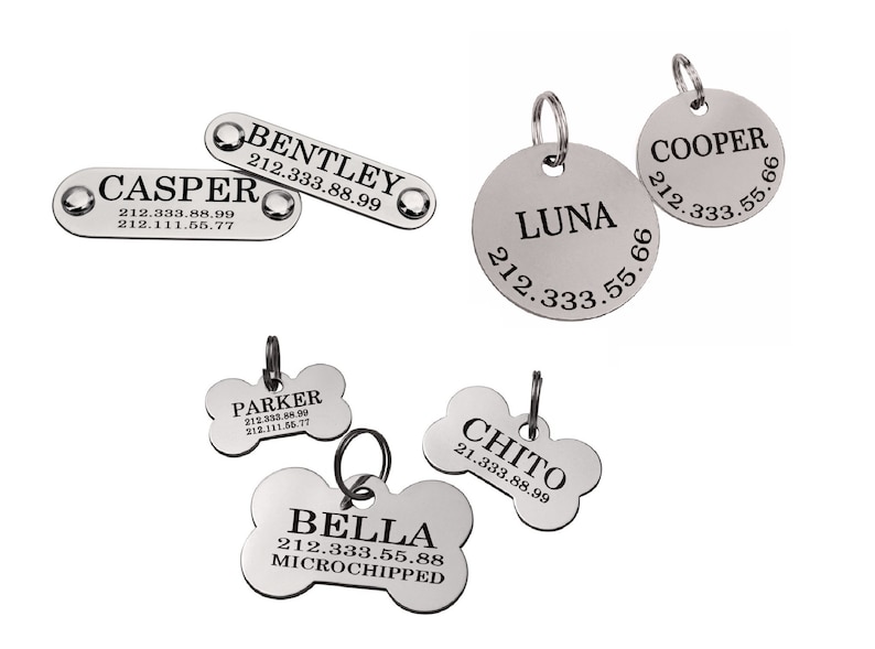 May include: Six silver dog tags with engraved names and phone numbers. The tags are in different shapes, including a bone, a circle, and a rectangle.