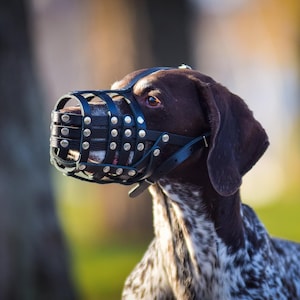 Leather Basket Dog Muzzle: Doberman, Collie, Pointer Breeds