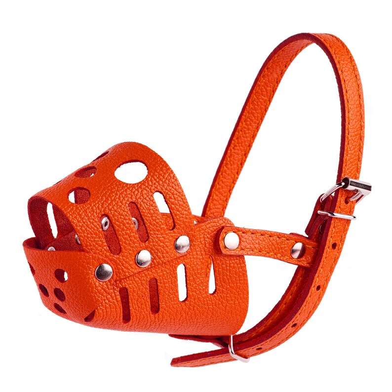 Leather Dog Muzzle Dog Muzzle Small Dog Muzzle Leather Pink Etsy