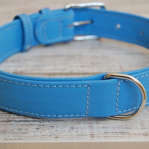 May include: A light blue leather dog collar with white stitching and a silver buckle and D-ring.