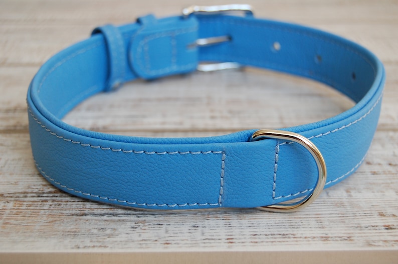 May include: A light blue leather dog collar with white stitching and a silver buckle and D-ring.