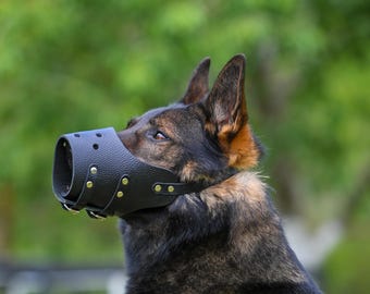 Universal  Leather Dog Muzzle for German Shepherd, Belgian Malinois, Belgian Tervuren, White Swiss Shepherd, Doberman, Collie, Weimaraner