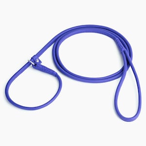 Rolled Leather Slip Lead Dog Leash: Soft Show Training Lead Violet