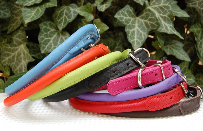 Rolled Dog Collar Rolled Leather Dog Collar With ID Tag Etsy