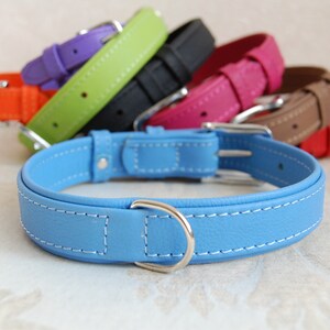 May include: A set of colourful leather dog collars, including orange, green, purple, black, pink, brown, and blue. The collars are all made of leather and have a silver buckle.