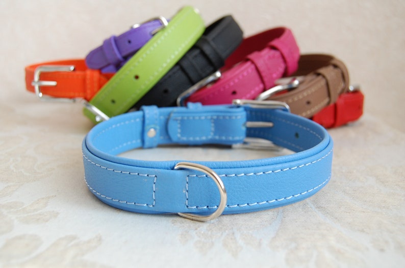 May include: A set of colourful leather dog collars, including orange, green, purple, black, pink, brown, and blue. The collars are all made of leather and have a silver buckle.