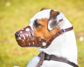 Leather Dog Muzzle: Medium Breed, Bull Terrier, Beagle