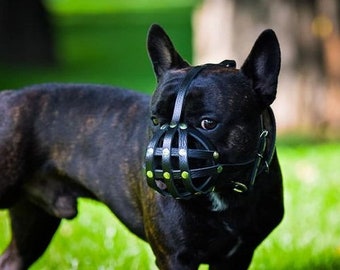 Muselière bouledogue français, muselière en cuir pour bouledogue français, muselière corbeille pour bouledogue français, muselière en cuir Frenchie marron noir