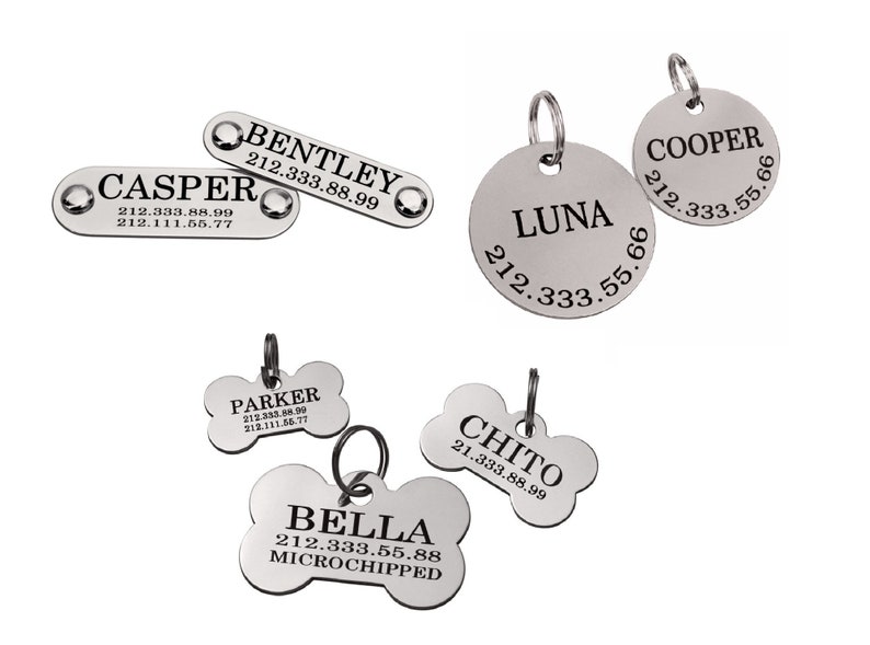 May include: Six silver dog tags with engraved names and phone numbers. The tags are in different shapes, including a bone, a circle and a rectangle.