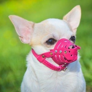 Leather Dog Muzzle, Dog Muzzle Small, Dog Muzzle Leather Pink Yellow Orange Violet Blue Green, Soft Leather Muzzle for Small Dog, Dog Muzzle