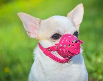 Lederen hondensnuit, hondensnuit klein, hondensnuit leer roze geel oranje violet blauw groen, zacht lederen snuit voor kleine hond, hondensnuit