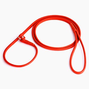 Rolled Leather Slip Lead Dog Leash: Soft Show Training Lead Orange