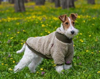 Zachte fleece hoodie voor honden, teddybeer hondenjas, schattige beer hond hoodie, pluizig hondenjack, hondentrui teddyfleece