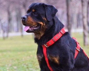 Perro mediano grande sin tirar sin estrangulamiento Arnés ajustable para perros en khaki verde rojo negro Arnés para perros para niños Arnés para perros M L XL arnés para perros