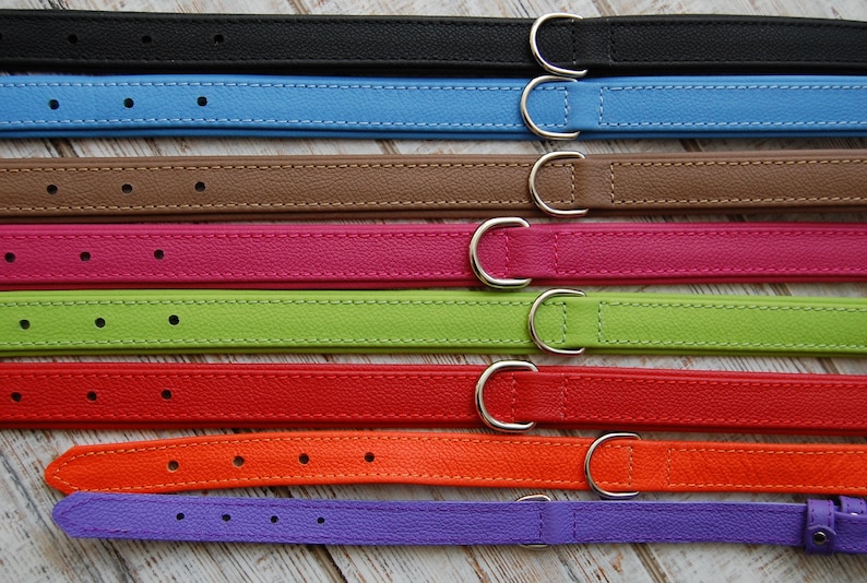 May include: Eight leather dog collars in different colours, including black, blue, brown, pink, green, red, orange, and purple. Each collar has a silver metal buckle.